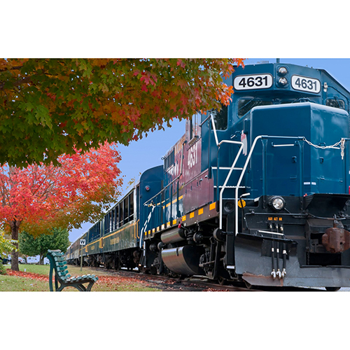 Blue Ridge Scenic Railway
