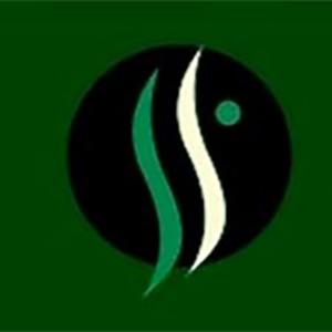 Southern Financial Consultants, INC