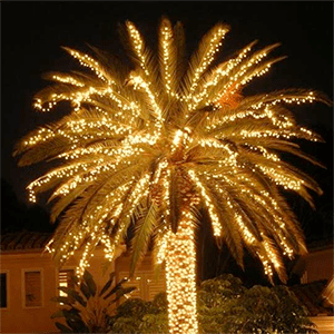 The Christmas Light Pros of Blue Ridge